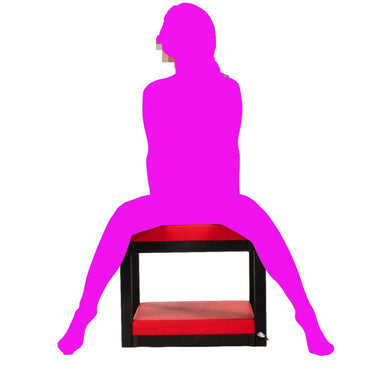 Femdom Queening Box BDSM Sex Room Furniture